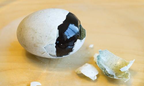 Poškodenie vajíčka - vodiace rituály